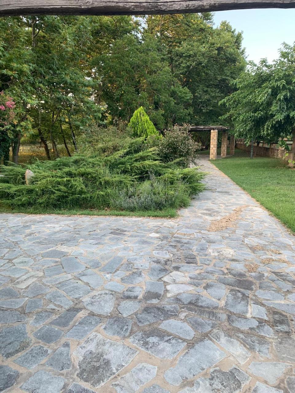 Platanorema Agios Ioannis Prodromos Extérieur photo